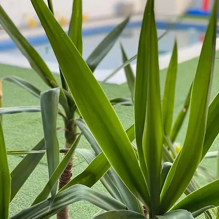 Casa vacanze Valle Secreto *