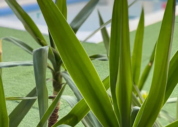 Prázdninový dům Valle Secreto Cerca De Caceres, Merida Y Trujillo *