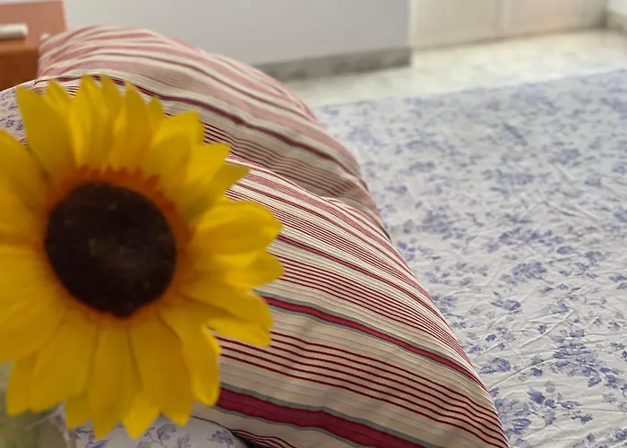 Prázdninový dům Valle Secreto Cerca De Caceres, Merida Y Trujillo Torremocha